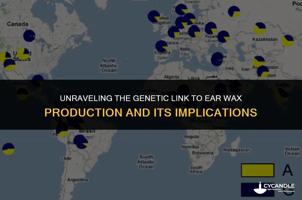 how do genetics relate to ear wax