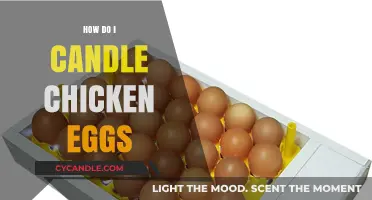 Candling Chicken Eggs: A Step-by-Step Guide