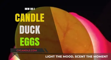 Candling Duck Eggs: A Step-by-Step Guide