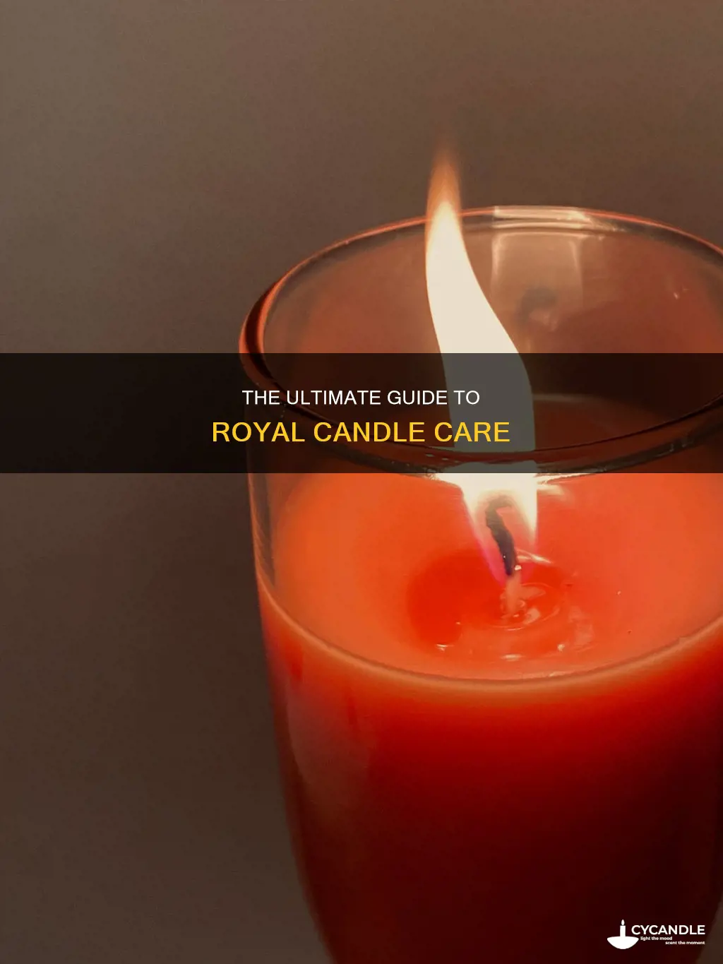 how do i care for royal candles