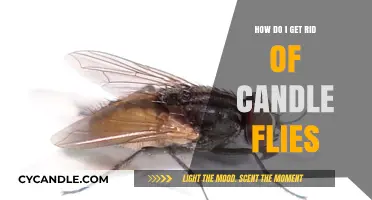 Effective Ways to Eliminate Candle Flies from Your Home