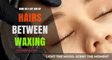 Smooth Sailing: Tips to Banish Stray Hairs Between Waxing Sessions