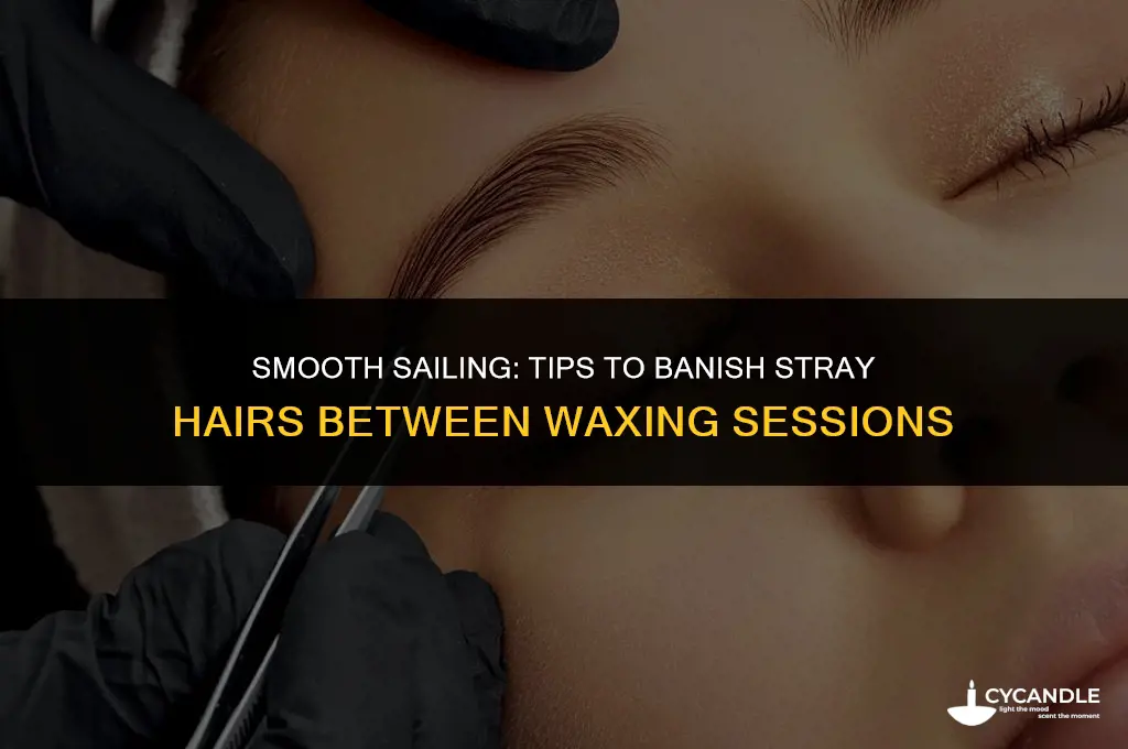 how do i get rid of hairs between waxing