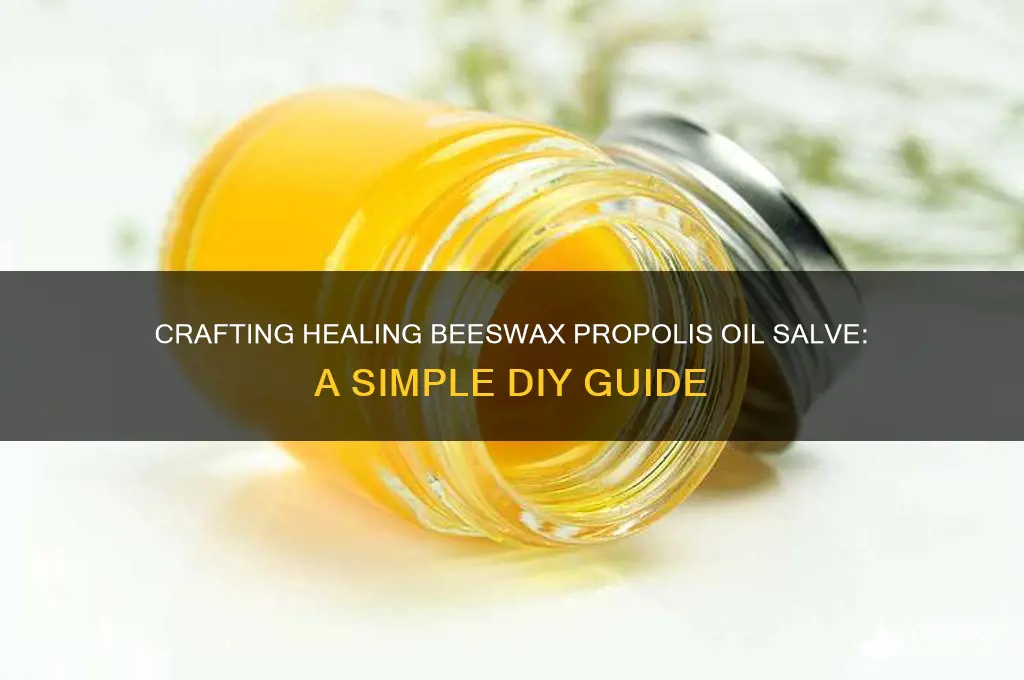 how do i make bees wax propolis and oil salve
