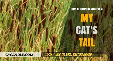 Quick Tips to Safely Remove Wax from Your Cat's Tail