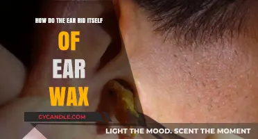 Nature's Cleaning Crew: How Ears Self-Rid of Wax Buildup