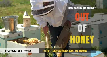 Unlocking Nature's Sweetness: The Art of Honey Wax Extraction