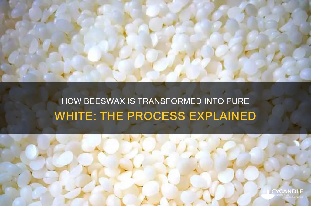how do they make beeswax white