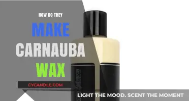 The Art of Carnauba Wax: From Palm Leaves to Polishing