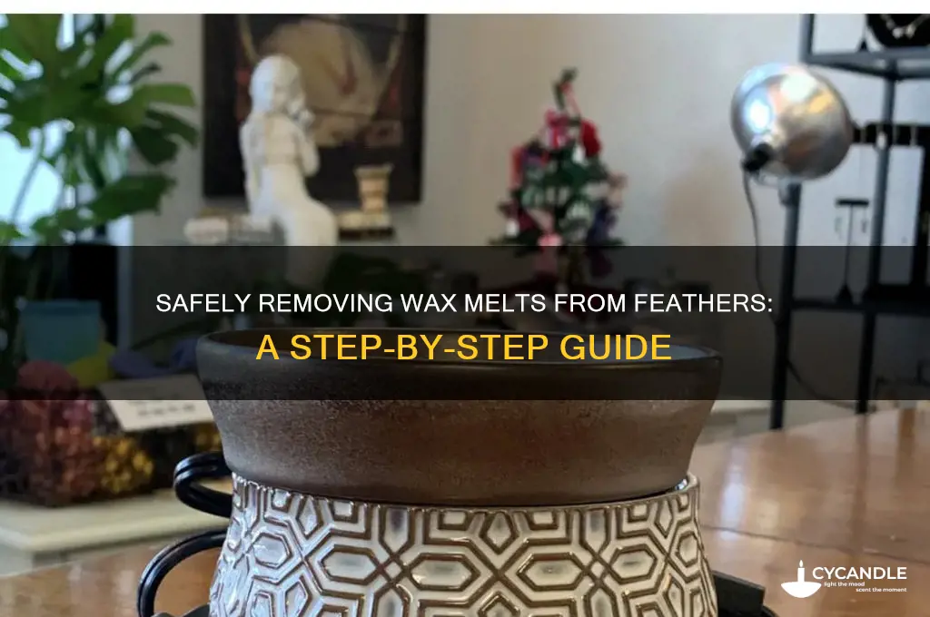 how do u remove wax melt from feathers