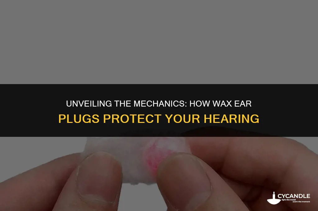 how do wax ear plugs work