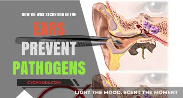 Ear Wax: The Natural Defender Against Pathogens