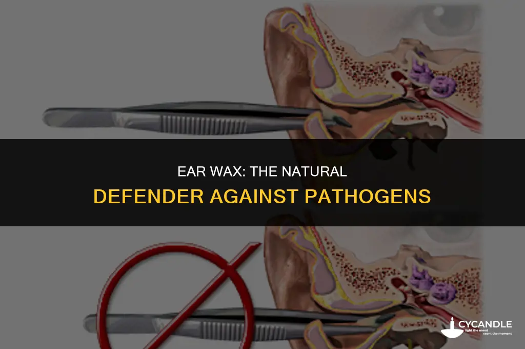 how do wax secretion in the ears prevent pathogens