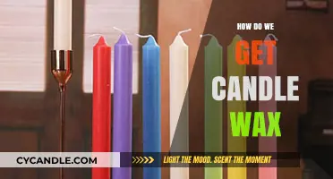 From Beeswax to Paraffin: The Surprising Journey of Candle Wax