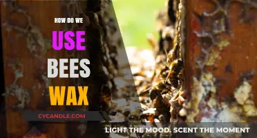 Unlocking the Secrets of Beeswax: A Comprehensive Guide to Its Uses