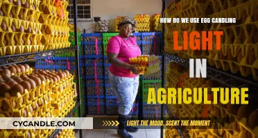 Egg Candling Light: Enhancing Agriculture Through Precision and Efficiency