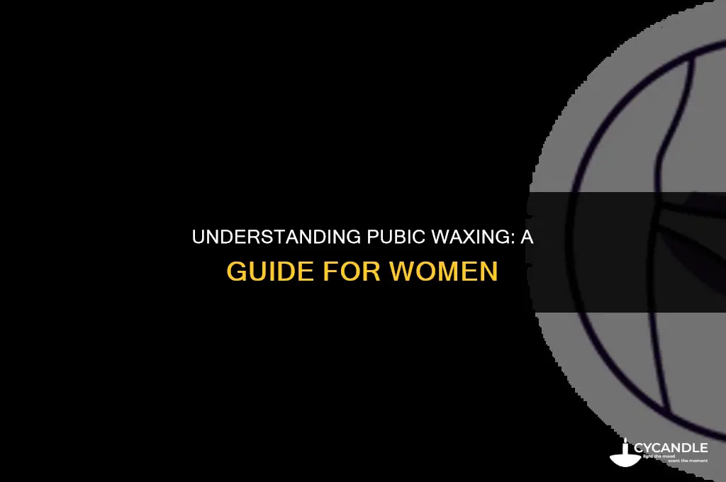 how do women get waxed in their pubic region