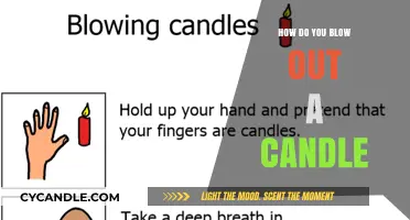 The Art of Blowing Out a Candle