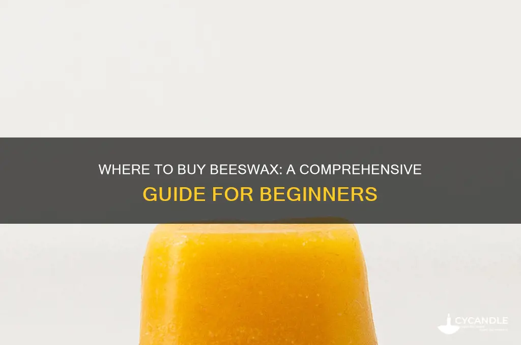 how do you buy beeswax