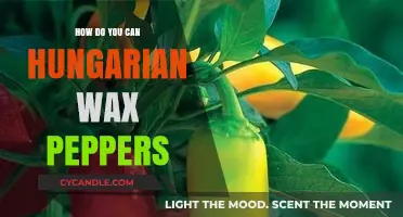 Canning Hungarian Wax Peppers: A Spicy Preservation Guide for Beginners