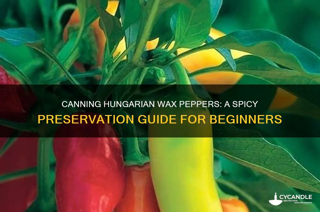 how do you can hungarian wax peppers