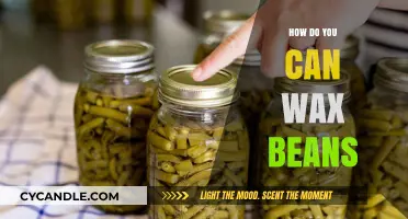 Easy Guide to Canning Wax Beans at Home for Freshness