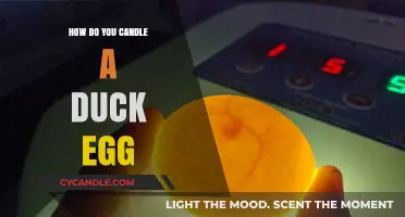 Candling Duck Eggs: A Step-by-Step Guide