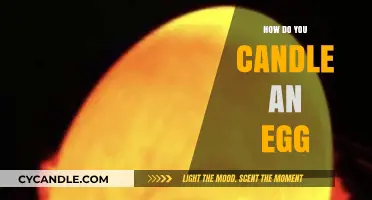 Candling Eggs: A Beginner's Guide to Egg Candling