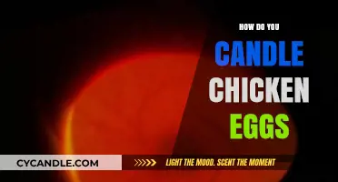 Candling Chicken Eggs: A Step-by-Step Guide