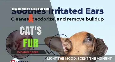 Safely Removing Candle Wax from Your Cat's Fur: A Quick Guide