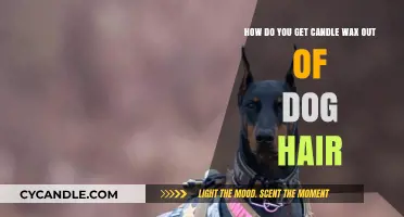 Removing Candle Wax from Dog Hair: Quick and Safe Solutions