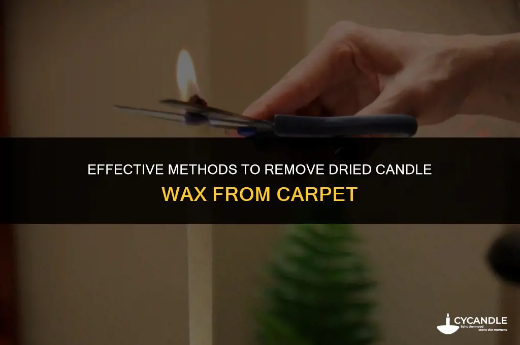 how do you get dried candle wax out of carpet