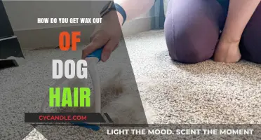 Effective Methods to Remove Wax from Dog Hair