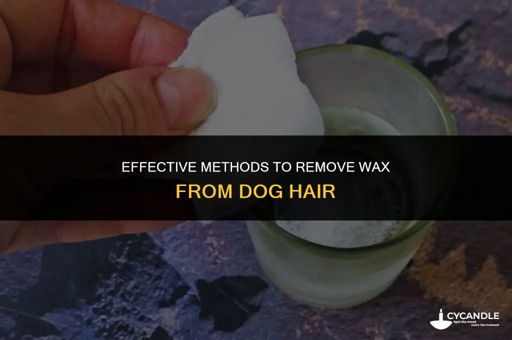 how do you get wax out of dog hair