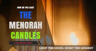 Lighting the Menorah: A Step-by-Step Guide to Hanukkah Candle Traditions
