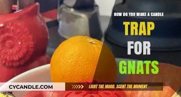 Effective DIY Candle Trap to Eliminate Gnats in Your Home