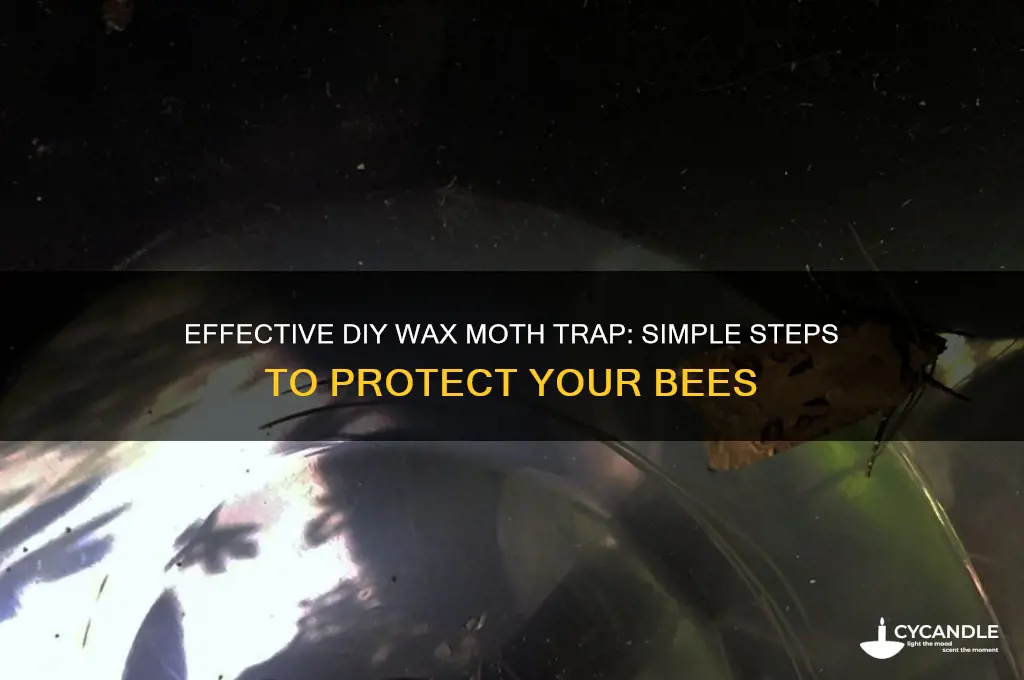 how do you make a wax moth trap