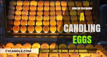Candling Eggs: A Step-by-Step Guide to Success