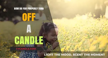 The Proper Way to Extinguish a Candle