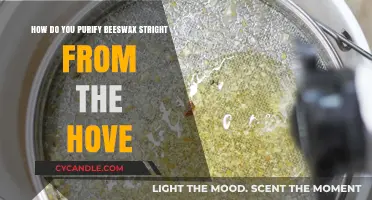 Purifying Raw Beeswax: A Simple Guide from Hive to Home