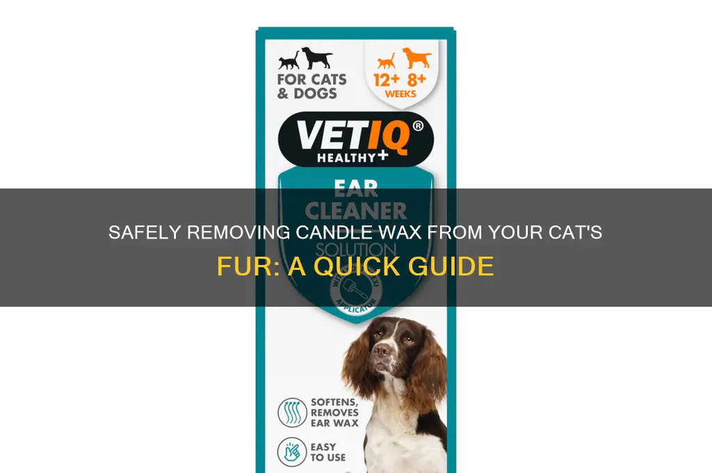 how do you remove candle wax from cats fur
