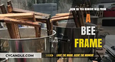 Effective Methods to Remove Wax from Bee Frames: A Step-by-Step Guide