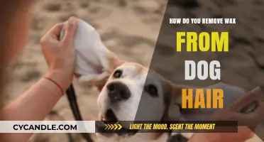 Effective Ways to Safely Remove Wax from Your Dog's Hair
