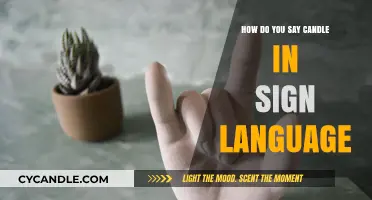 Sign Language Basics: Candle
