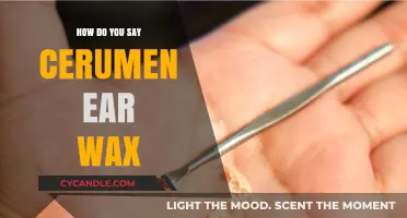 Exploring the Sticky Subject: What's the Scoop on Cerumen?