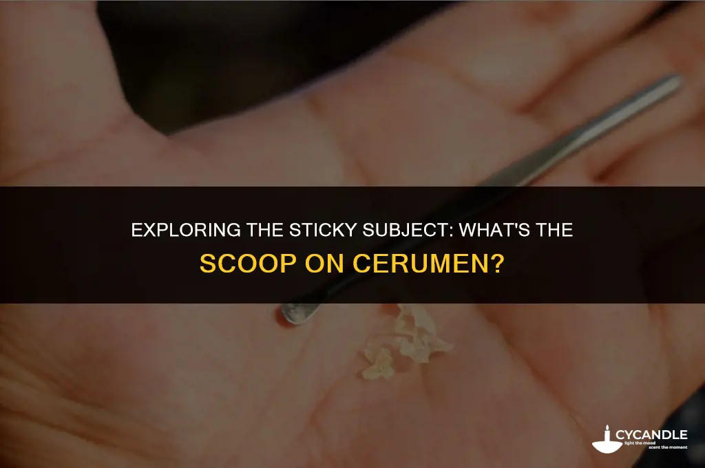 how do you say cerumen ear wax
