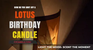 Creative Candles: Blowing Out the Lotus Birthday Candle