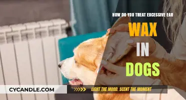 Effective Ways to Treat Excessive Ear Wax in Dogs