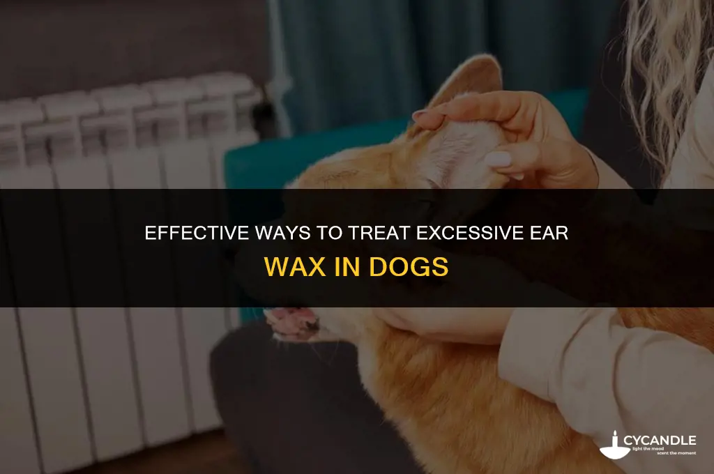how do you treat excessive ear wax in dogs