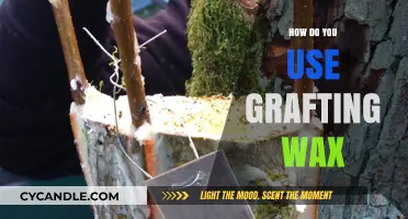 Mastering the Art of Grafting: A Guide to Using Grafting Wax